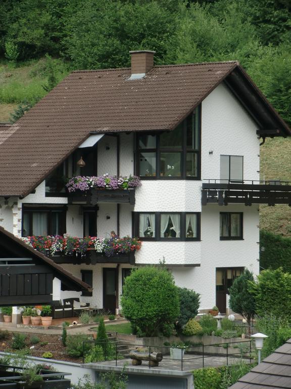 Ferienwohnung Uli Schaetzle Hornberg Exterior foto