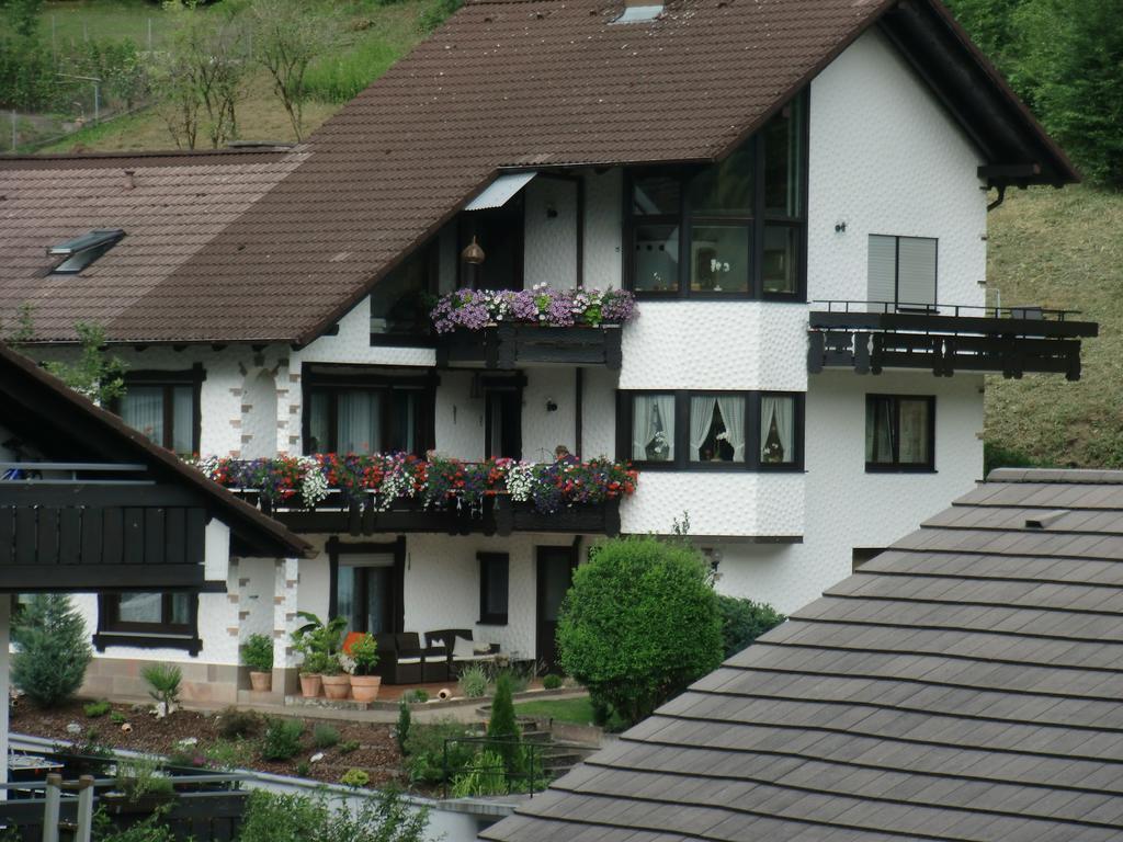 Ferienwohnung Uli Schaetzle Hornberg Exterior foto